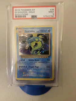 2016 GYARADOS Pokemon XY Evolutions #34 HOLO PSA 9 mint! - Image 1