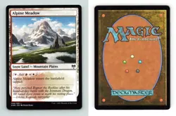 Alpine Meadow #248/285 MTG Kaldheim Land 2021 TCG Card - Image 1