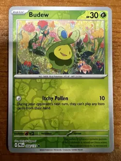 Budew - Prismatic Evolutions 004/131 - Common - Reverse Holo - NM - Pokemon TCG - Image 1