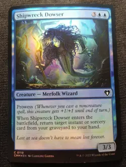 Shipwreck Dowser - Foil - CMM - NM Unplayed - EN - 0119 - Image 1