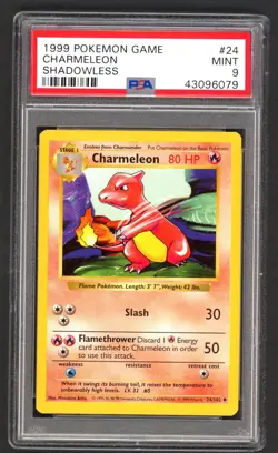Pokemon Cards - PSA 9 Shadowless Charmeleon 24/102 - Base Set - MINT - PSA9 - Image 1
