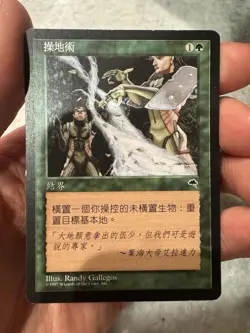 1997 Magic The Gathering Tempest Earthcraft Chinese - Image 2