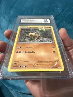 Hippopotas Pokemon 2015 German Primal Clash 87/160 Guinness World Record Holder - Image 4