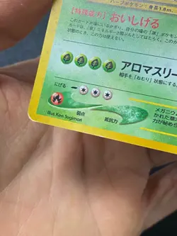 JAPANESE POKEMON MEGANIUM No.154 HOLO WIZARDS NEO GENESIS - VG - Image 3
