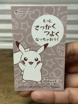 2016 Poncho Pikachu Charizard Y Mega Business Card Japanese Pokemon Center Promo - Image 4