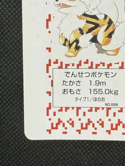 Pokemon Arcanine King of Clubs Red Charizard Deck Playing Card Poker Nintendo - Image 5