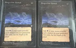 Songs of the Damned Ice Age Regular Pair Of Two (2) Mtg Magic The Gathering - Image 1