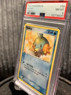 2005 Mudkip #56 | Pokemon Emerald | PSA 8 NM-MT Low Pop. - Image 3