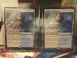 (X2)Hallowed Fountain MTG Lorwyn Eclipsed MTG 0265 Regular Shock Lands🔥 - Image 1