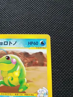 Clair’s Politoed Pokemon VS Card 1st Ed Japanese No.050/141 Nintendo Japan F/S - Image 3