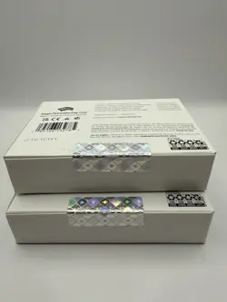 MTG Magic Secret Lair Dan Frazier is Back: The Allied & Enemy Signets Foil New - Image 4