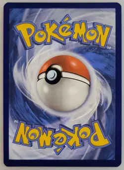 Iron Leaves ex 203/162 SV05: Pokemon Temporal Forces Holo NM - Image 2