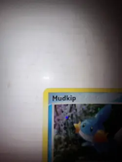 Pokemon (Holo) MUDKIP Card BLACK STAR PROMO Set Set #018 EX Deck Tin - Image 3