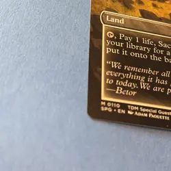 Mtg Marsh Flats (Borderless) Special Guests Regular - Image 3
