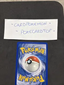 Pokemon Card Ludicolo 6/100-Ex Guardiani Dei Cristalli - Eng-Stamped- Holo-Mint! - Image 5