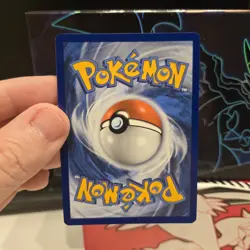 Morpeko Pokemon SWSH116 Black Star Promo with Full HD Swirl - Image 4
