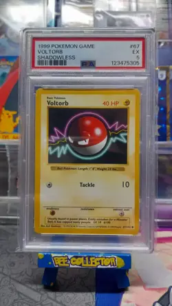 Pokemon tcg Voltorb Shadowless Base Set PSA 5 Excellent NM 67/102 - Image 1
