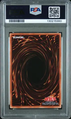 2025 YU-GI-OH! 711E #JP002 DARK MAGICIAN GIRL PSA 10 - Image 2