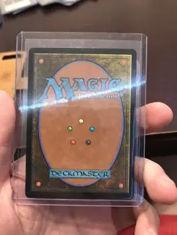 Lutri, The Spellchaser Foil Mint MTG - Image 5