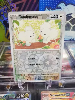 Tandemaus 167/193 Reverse Holo Common Pokemon TCG S&V Paldea Evolved - Image 1