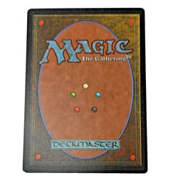 MTG Everglades Visions VIS Uncommon Colorless and Black Land Magic the Gathering - Image 2