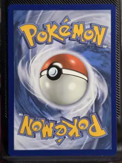 Morpeko 206/182 SV04: Paradox Rift Illustration Rare Pokemon Card NM - Image 3