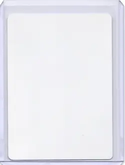 Final Fortune Regular Signed Artist Proof MTG RARE - Image 2