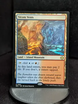 Steam Vents Lorwyn Eclipsed Regular MTG NM/M - Image 1