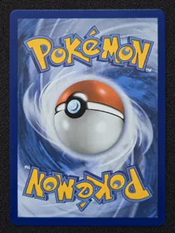 Pokemon TCG Mega Evolution: Litleo (Illustration Rare) English 139/132 (NM) - Image 2