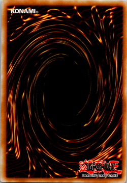 Elemental Hero Wildedge - Yugioh ! - First Edition - DP03-EN010 - LP - Image 2