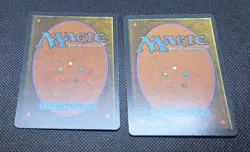 Magic The Gathering Vintage Ice Age Complete Set 383 cards w/ Glossy NM/LP MTG - Image 3