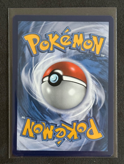 Charizard V Swsh260 Swsh: Sword & Shield Promo Cards Holo - Image 3