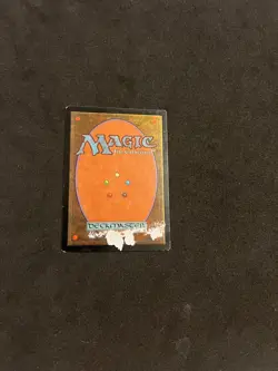 Windfall [Urza's Saga] Magic MTG Cards LP/MP - Image 2