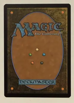 Expedition Map Borderless Rainbow Foil - Secret Lair MTG - Image 2