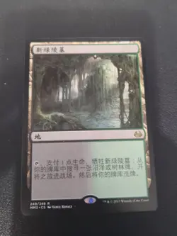 Verdant Catacombs - Modern Masters 2017 - MTG Magic the Gathering - NM Chinese - Image 1