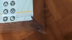 Pokemon TCG Mewtwo VSTAR Collection Set Gift Box Chinese SEALED SEE DESCRIPTION - Image 4