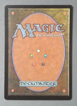 Survival of the Fittest Exodus NM Magic the Gathering English - Image 2