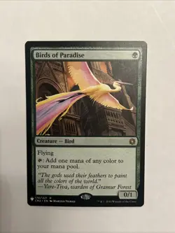 Birds of Paradise The List Reprints Regular - Image 1