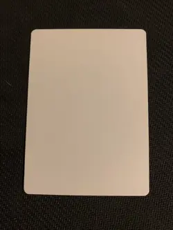 MTG Magic Foster Signed Artist Proof x1 Mercadian Masques Carl Critchlow - Image 2