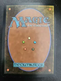 🔮Fortune Thief - Time Spiral - Magic The Gathering - MTG - Image 2
