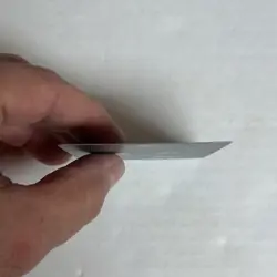 Guardian Project (Anime Borderless) Ravnica Remastered Regular - Image 3