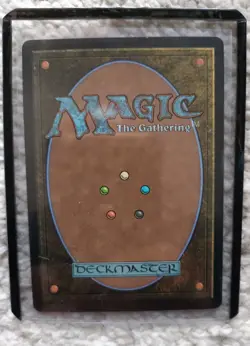 Wan Shi Tong, Librarian - NM - Magic the Gathering (MTG) Borderless, FOIL - #320 - Image 2