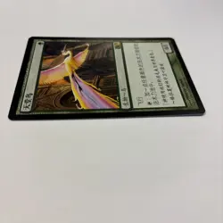 Birds of Paradise LP Core Set 2011 M11 MTG Chinese Regular 165 / 249 Flying Mana - Image 5