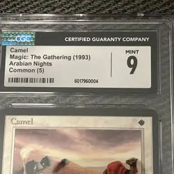 Camel Arabian Nights MTG Graded CGC 9 Mint Magic The Gathering 1993 - Image 2