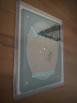 Seize the Day Odyssey Regular - Image 3