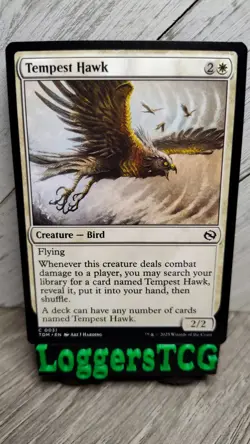 MTG Tempest Hawk / TDM 0031 C NM - Image 1