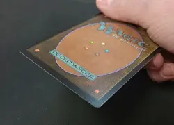 Endurance (Borderless) (Textured Foil) Special Guests Foil NM - Image 3