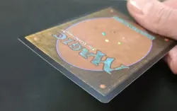 Endurance (Borderless) (Textured Foil) Special Guests Foil NM - Image 4