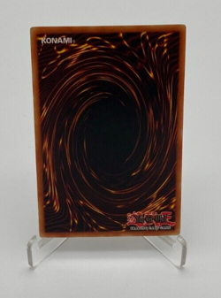 Yu-Gi-Oh Trading Card Game TCG Starter Deck Curse of Dragon SDY-008 - Image 2