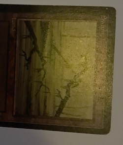 Swamp HP MTG Magic the Gathering Beta Basic Land (C) - Image 3